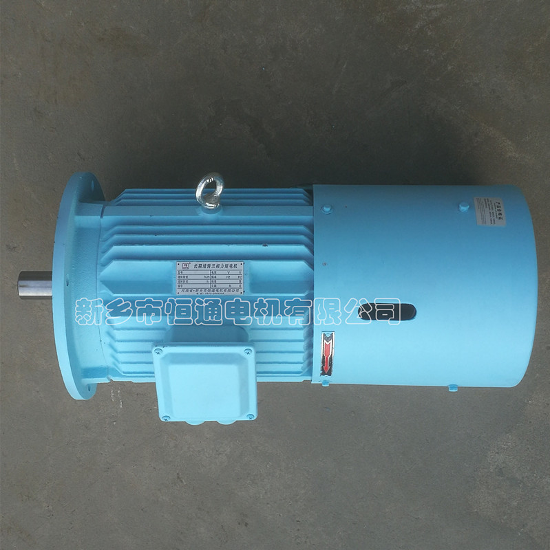 Long-term stall torque motor。